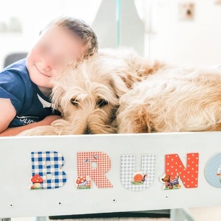 Hund Bruno schmiegt sich an ein Kind