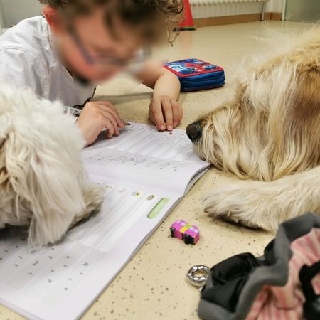 Hunde liegen um ein Kind auf dem Boden, welches Sprachübungen macht