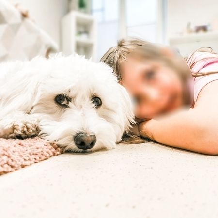 Kind und Therapiehund liegen gemütlich auf einem Teppich
