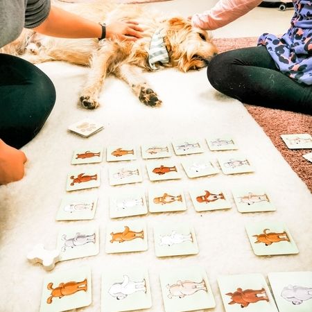 Patient und Therapeut spielen zusammen ein Spiel während Therapiehund entspannt daneben liegt